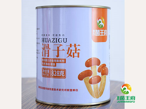 张氏菌王府滑子菇828g