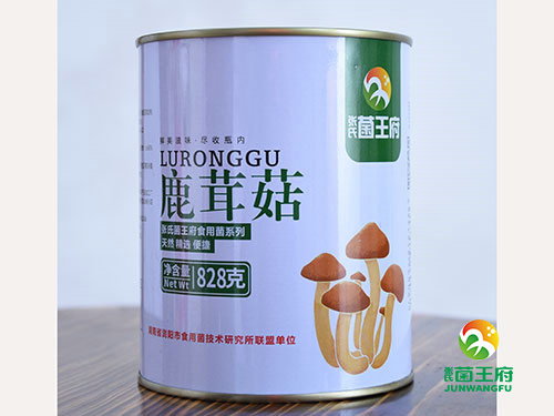 张氏菌王府鹿茸菇828g