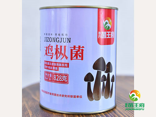 张氏菌王府鸡枞菌828g