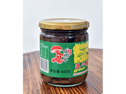 仙人伞乳牛肝菌400g