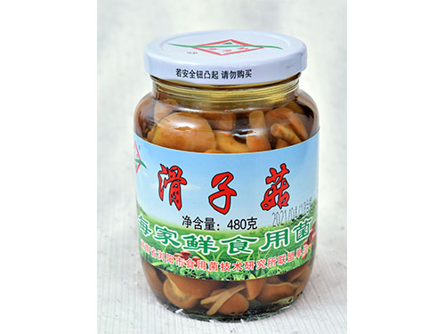 每家鲜滑子菇480g