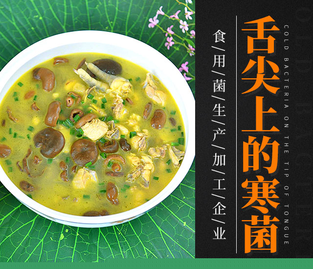 浏阳市普迹镇普泰村兴泰农产品加工厂_浏阳牛肝菌|寒菌|什锦菇