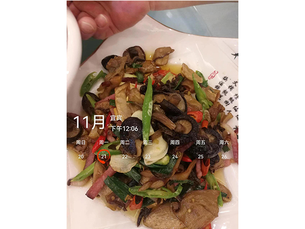 浏阳市普迹镇普泰村兴泰农产品加工厂,浏阳牛肝菌,寒菌,什锦菇