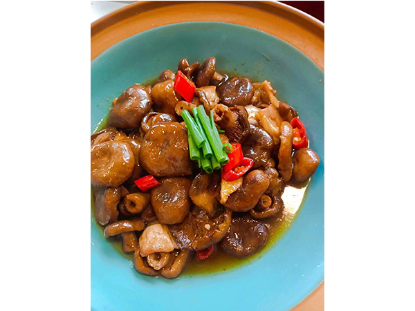 浏阳市普迹镇普泰村兴泰农产品加工厂,浏阳牛肝菌,寒菌,什锦菇